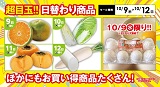 【お買い得セール】10月9日(水)～10月12日(土)のチラシはコチラ！