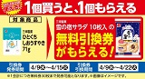 「雪の宿サラダ」がもらえる！おトクなレシートクーポン　4月9日(水)から４月15日(火)まで