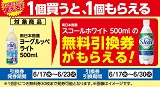 南日本酪農「スコールホワイト」がもらえる！おトクなレシートクーポン　6月17日(水)から6月23日(火)まで