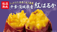 店内でじっくり焼き上げる「焼き芋」国産紅はるかを2026年10月14日（水）より販売開始 次回使える50円引きクーポンも発券