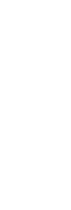 OSHIIRO OSECHI
