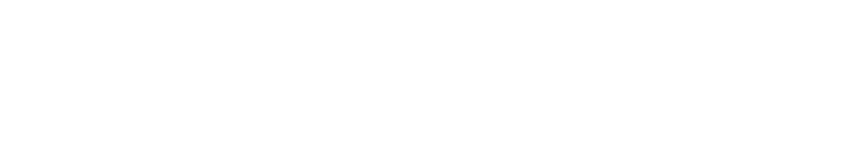 DAILY MEALS & OSECHI