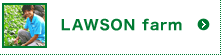 LAWSON farm